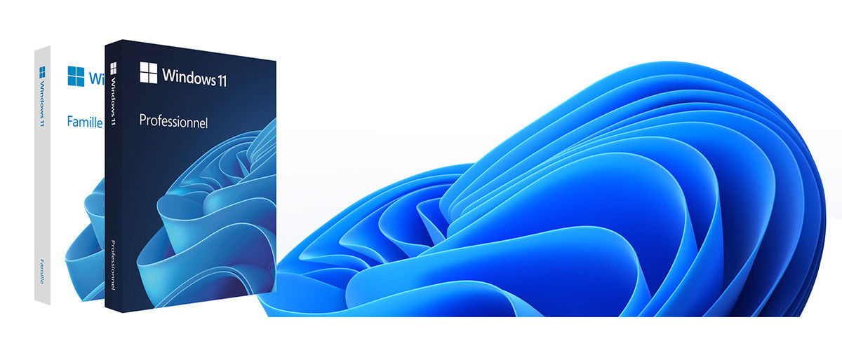 Chiny Najlepiej Windows 11 Pro OEM sprzedaży
