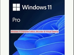 Windows 11 Enterprise Edition, BitLocker i Wirtualny pulpit